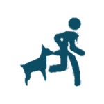 Dog Bites
